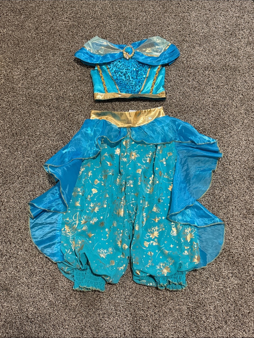 Disney Parks Princess Jasmine Costume